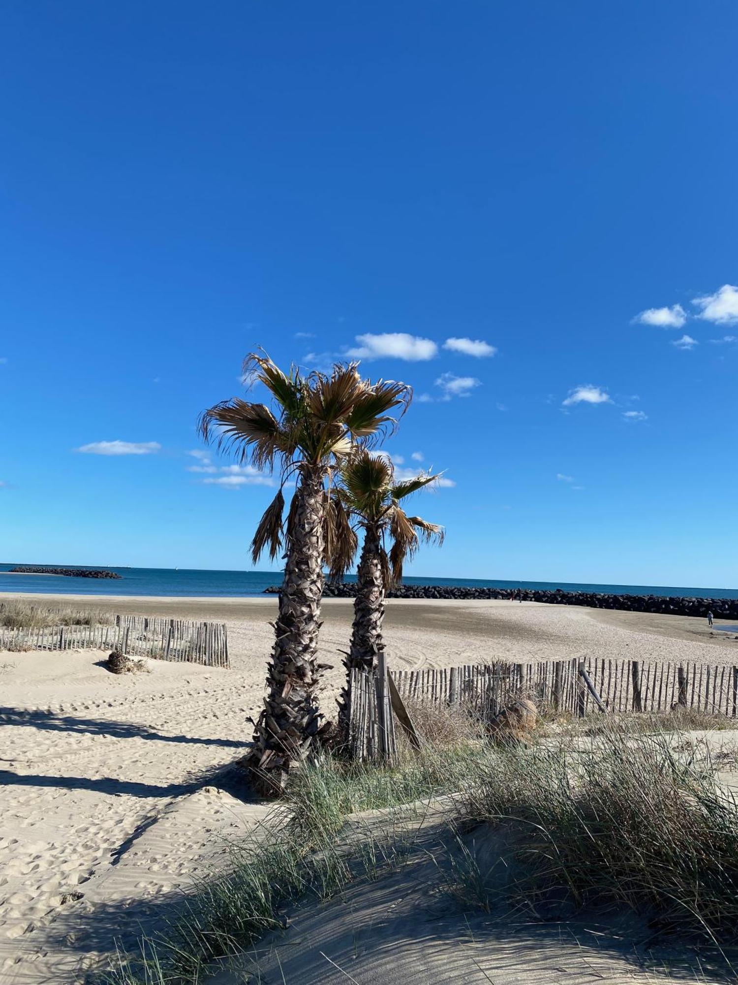Appart - T3 - 6 Personnes - Golf Cap D'Agde Exterior foto